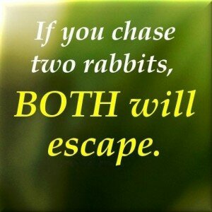 "If you chase two rabbits, both will escape" - Be Less with More