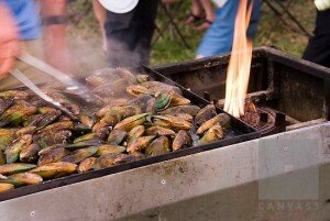Fresh mussels cooking on barbecue New Zealand